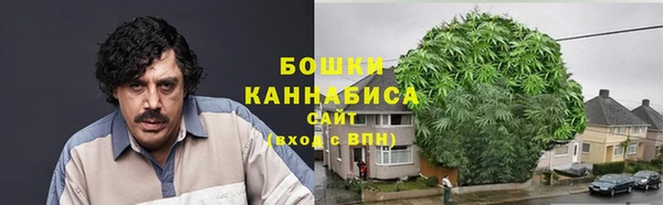 индика Белокуриха