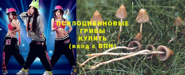 ALPHA-PVP Богородск