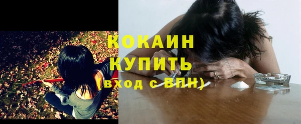индика Белокуриха